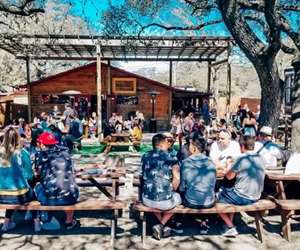 We love a  good crowd, So bring your friends, family and furry friends to our backyard!